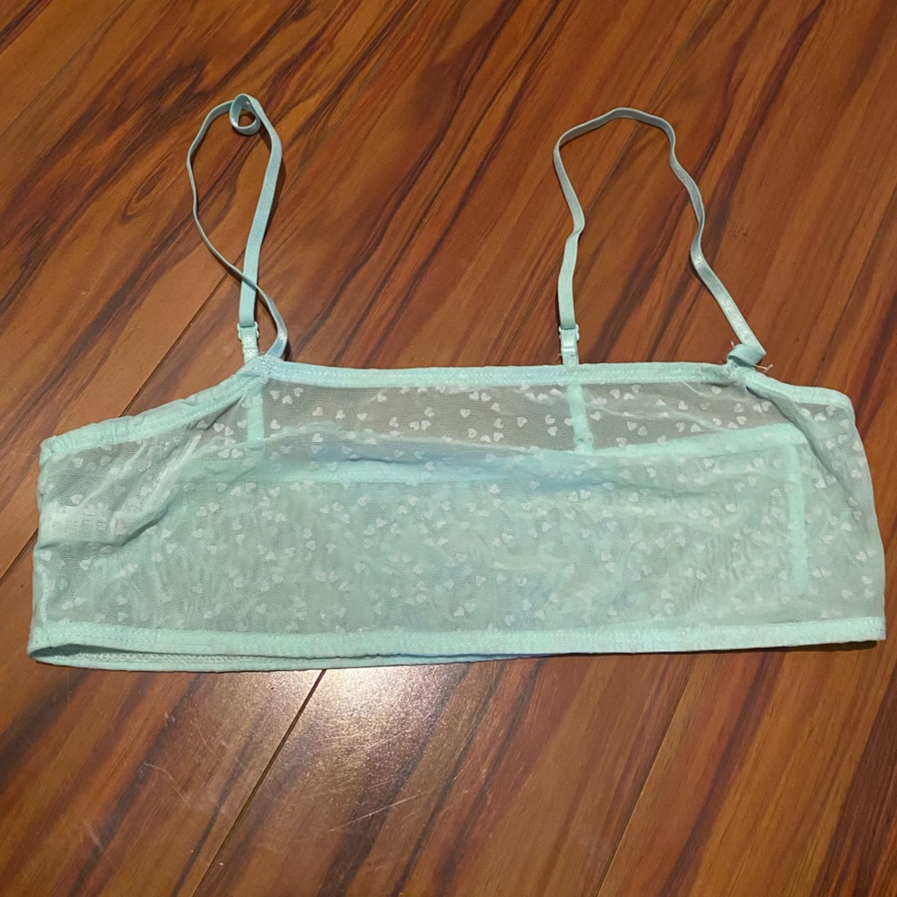 Urban Outfitters Light Blue Sheer Bra